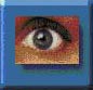 Vision Sample