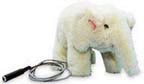 Baby Elephant