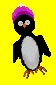 Penguin Race