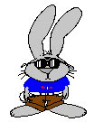 Robbie Rabbit