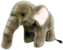 Baby Elephant