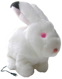 Floppy Bunny