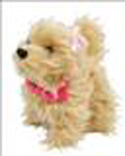 Teacup Terrier