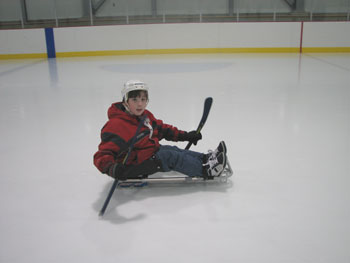 Sledge hockey picture