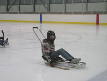 Sledge hockey picture