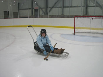 Sledge hockey picture